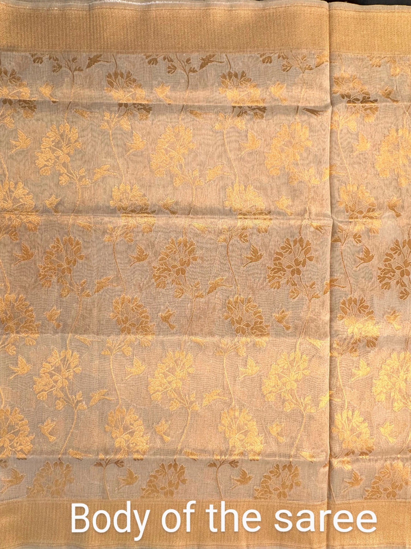 Light Gold Fancy Tissue Saree