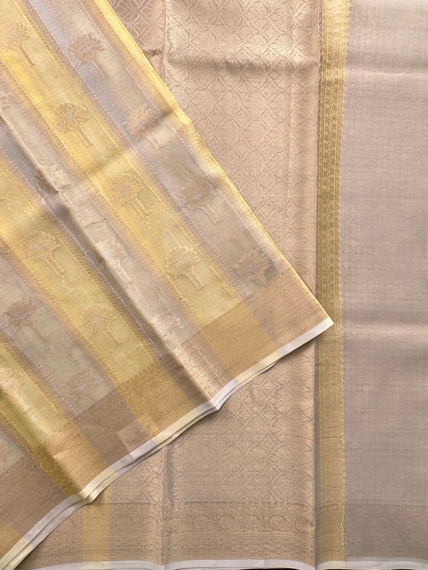 Ishpreet Tissue Saree