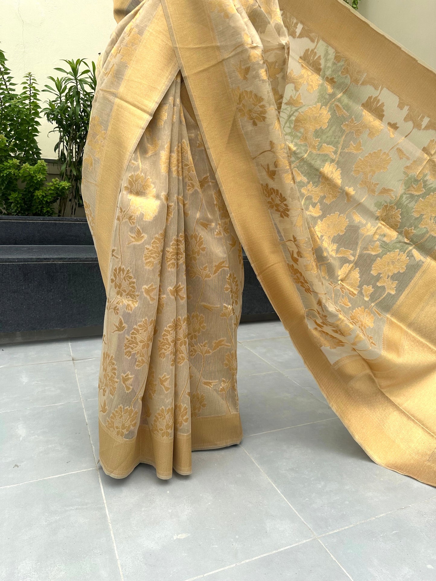Light Gold Fancy Tissue Saree