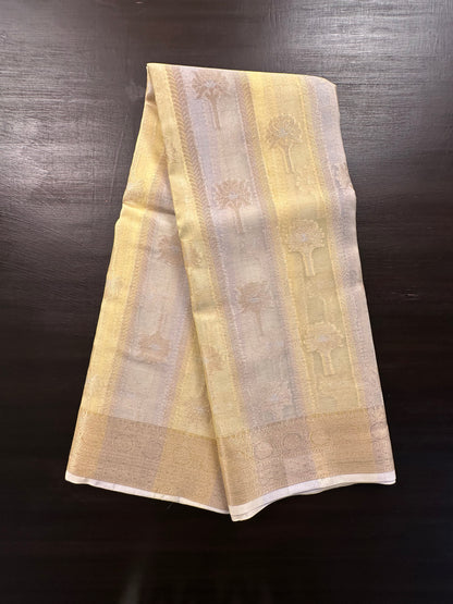 Ishpreet Tissue Saree