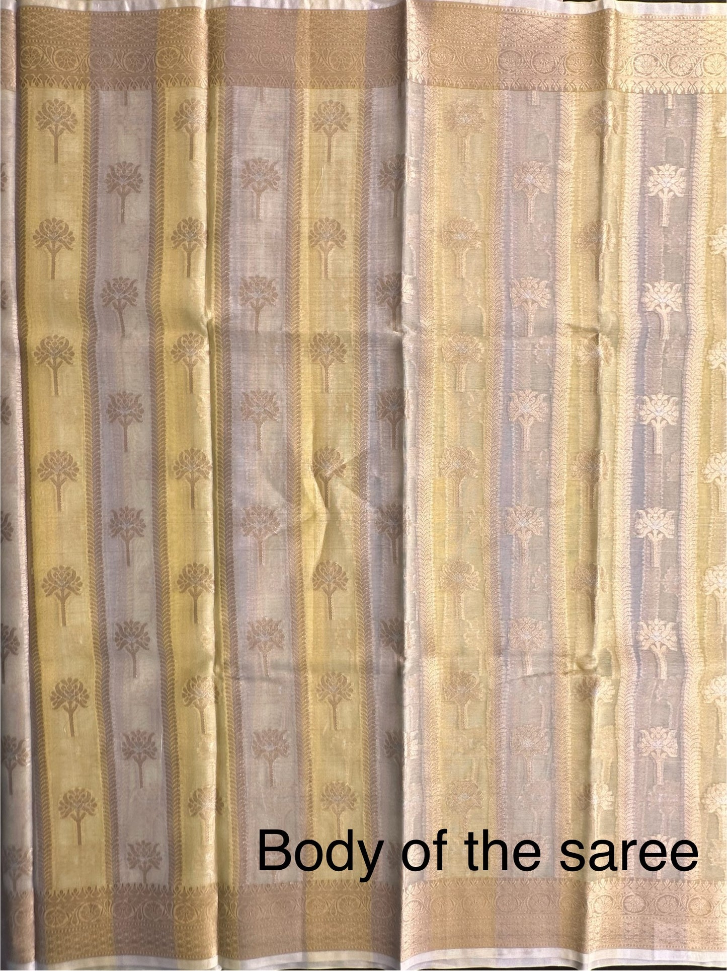 Ishpreet Tissue Saree