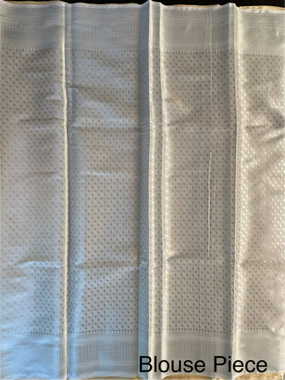 Saadagi Tissue Saree