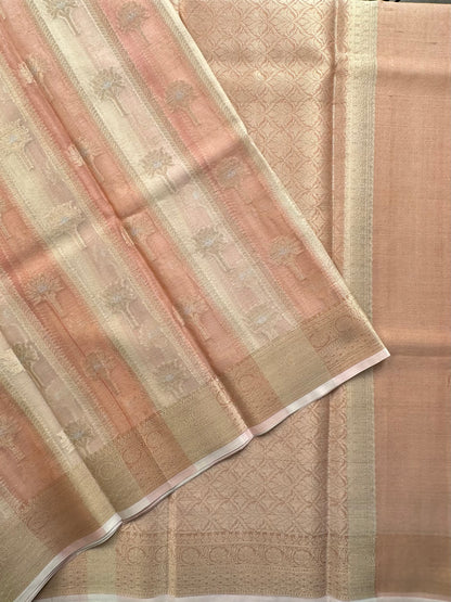 Ishpreet Tissue Saree