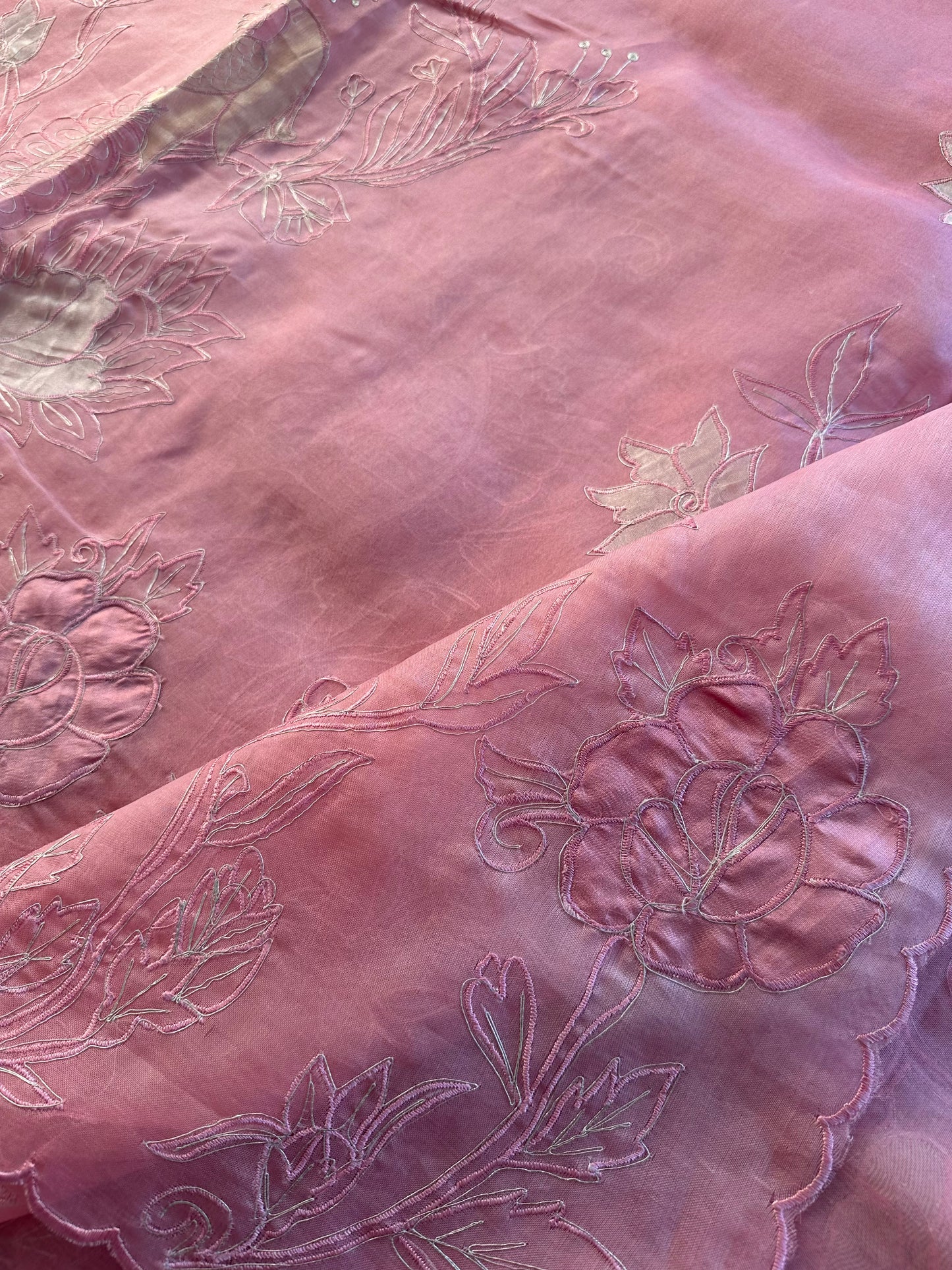 Applique Organza Saree
