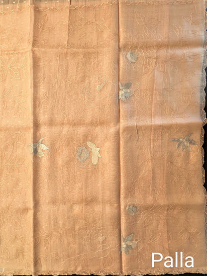 Applique Organza Saree