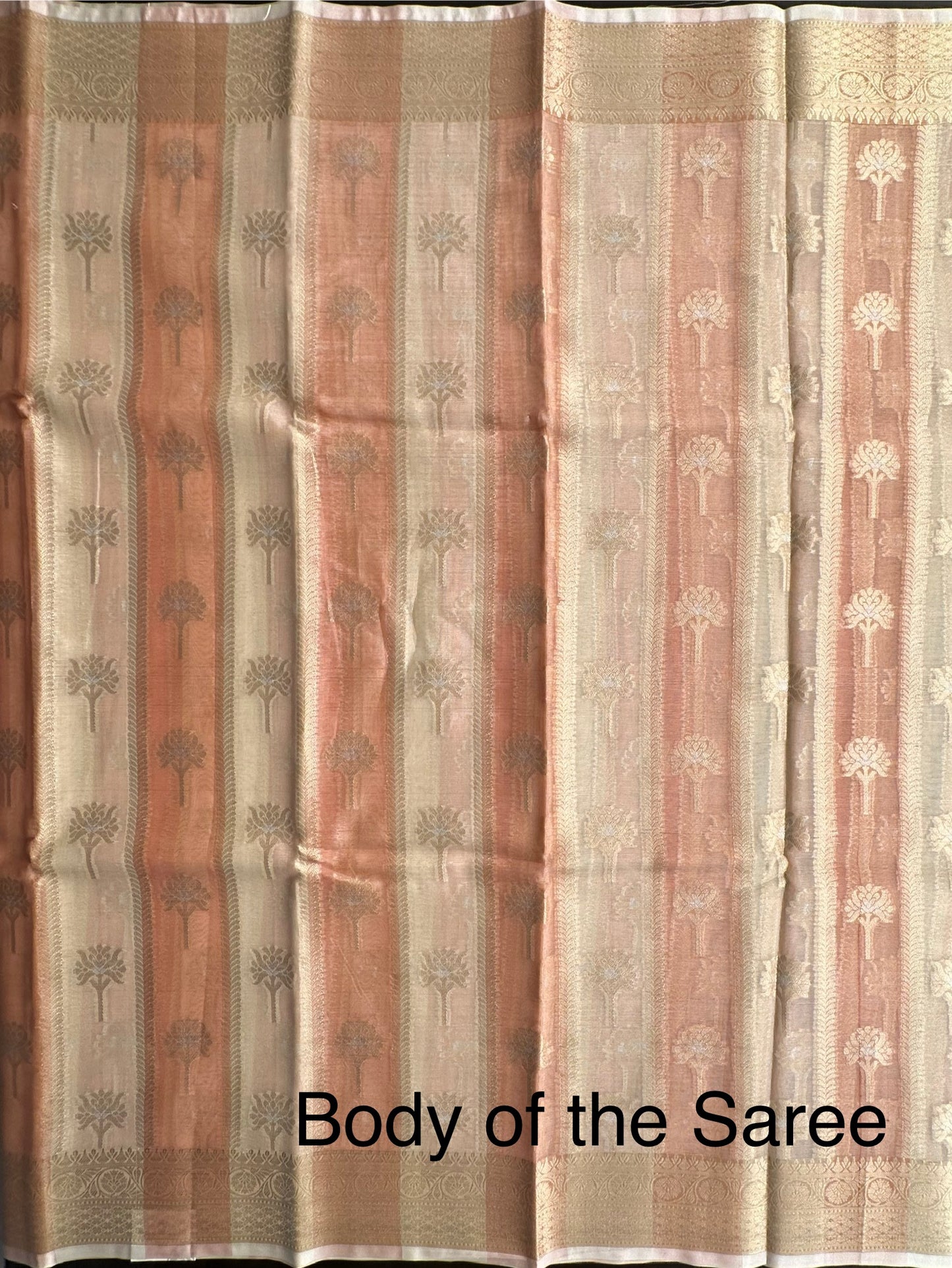 Ishpreet Tissue Saree