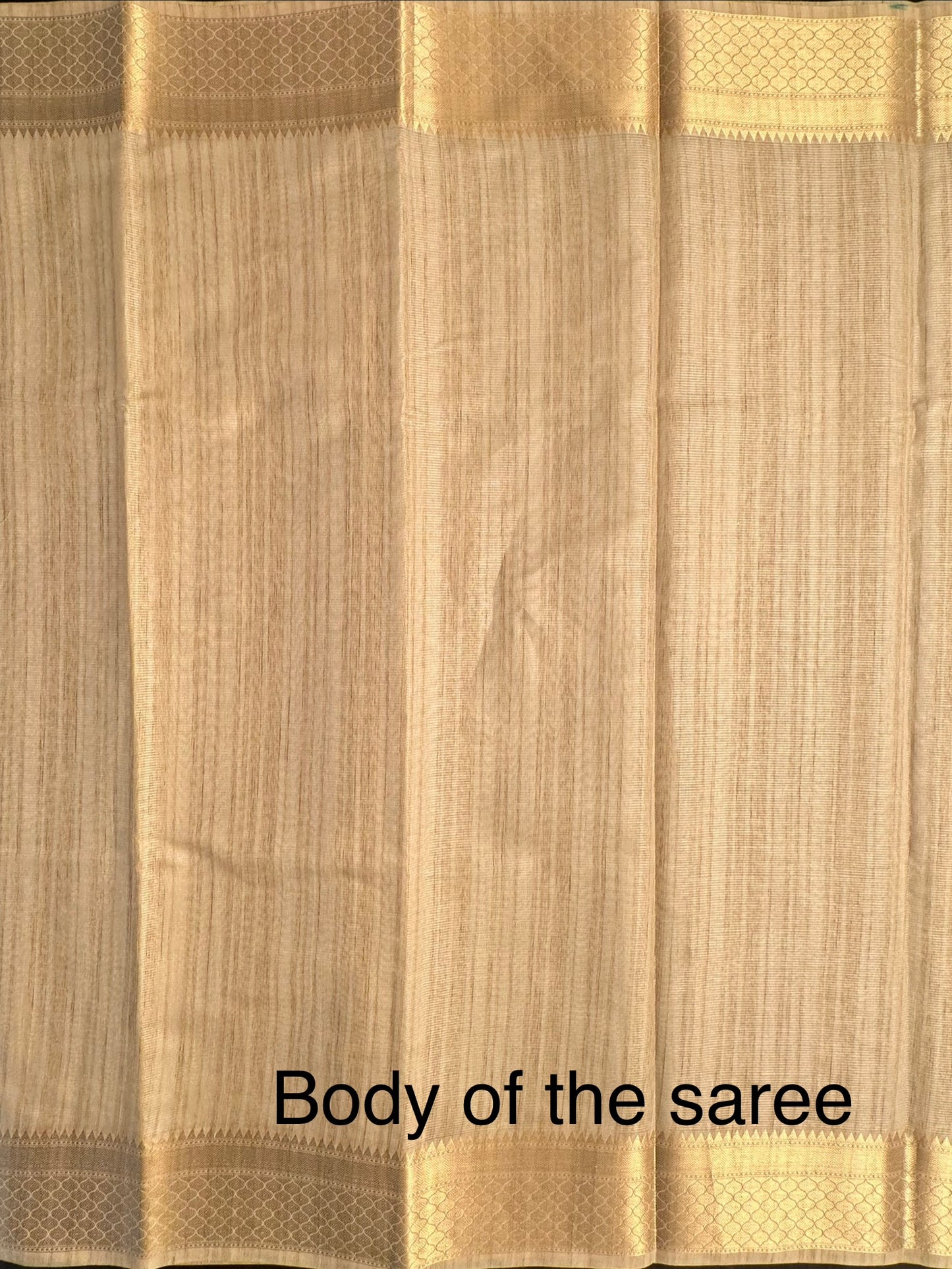 Beige Ananya Tissue Saree