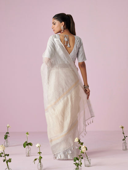 Silver Crush  Pure Tissue Saree
