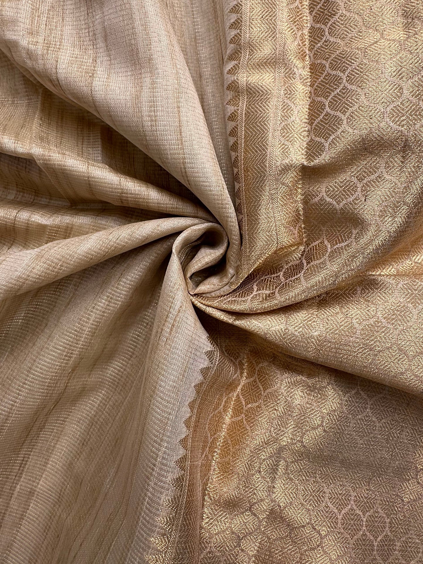 Beige Ananya Tissue Saree