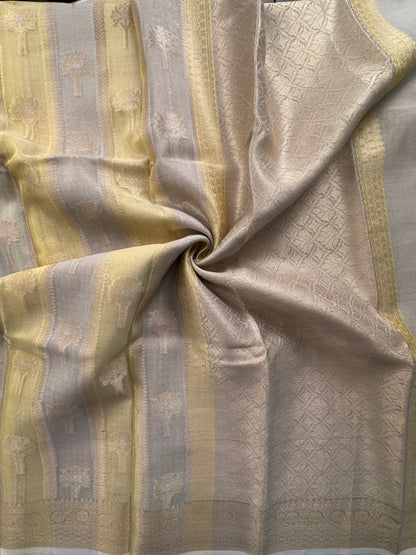 Ishpreet Tissue Saree