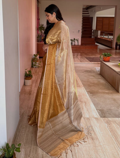 Swarnima Chandrahaas 2.0 Golden-Silver Tissue Saree