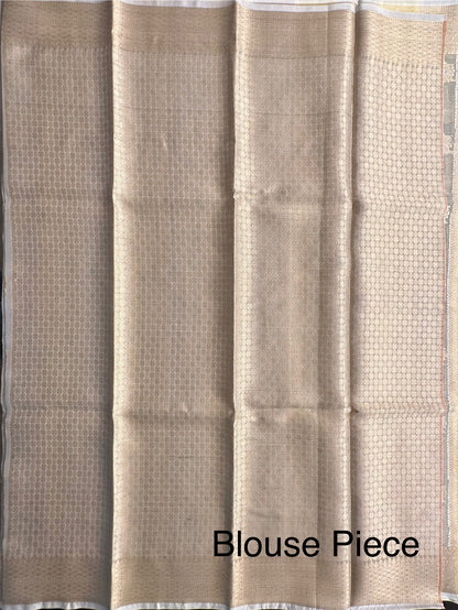 Ishpreet Tissue Saree