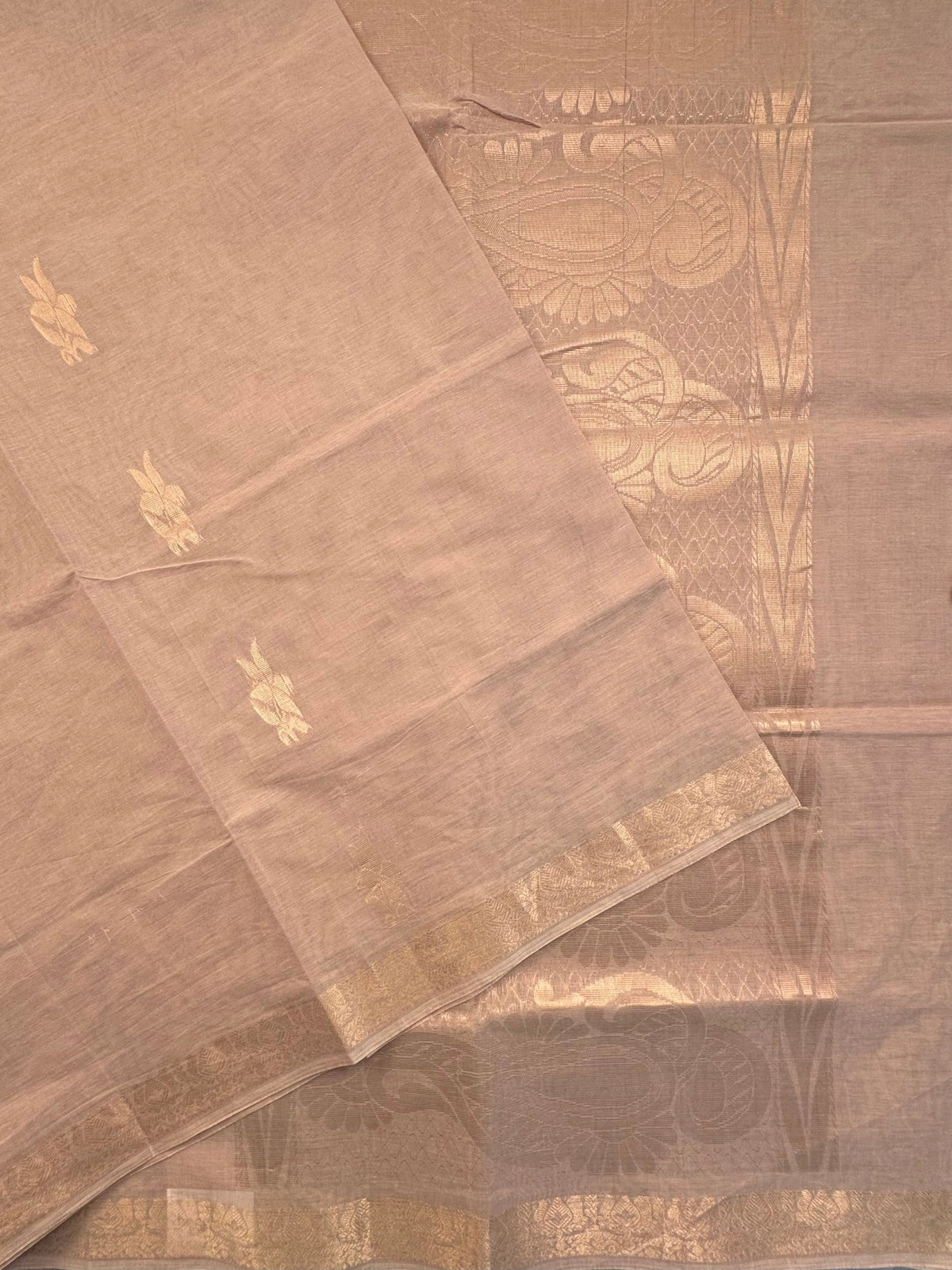 Beige Kovai Pure Cotton Saree