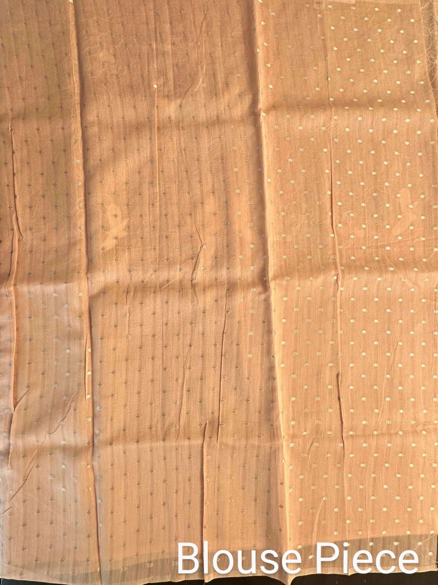 Applique Organza Saree