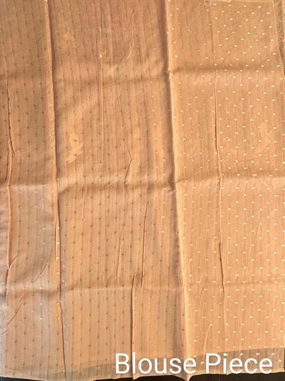 Applique Organza Saree