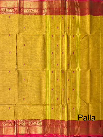 Olive Green Narayan pet Cotton Saree