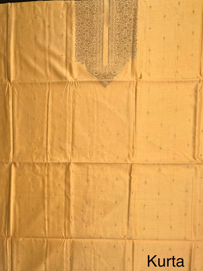 Pastel Yellow Handloom Chanderi Suit