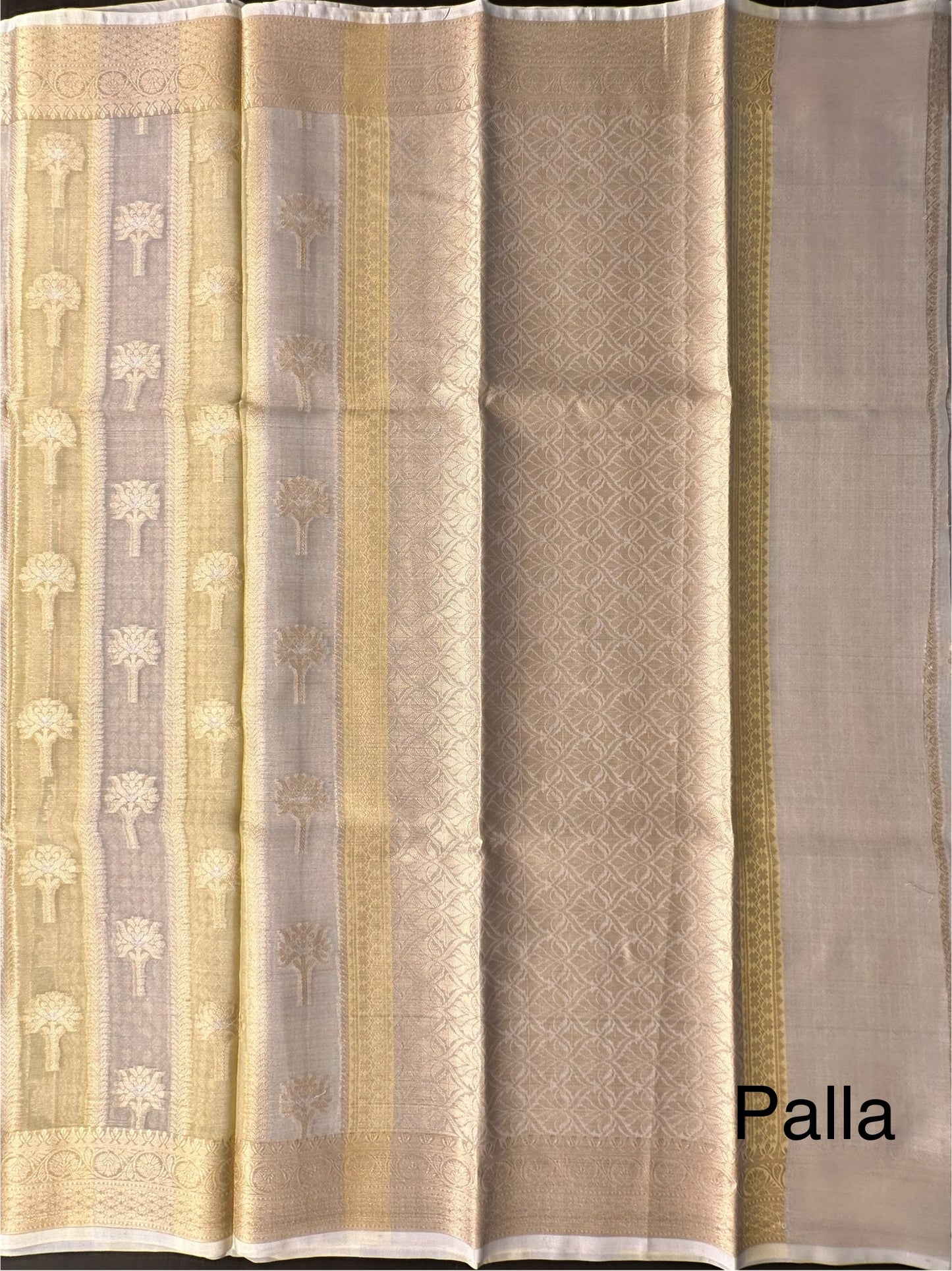 Ishpreet Tissue Saree