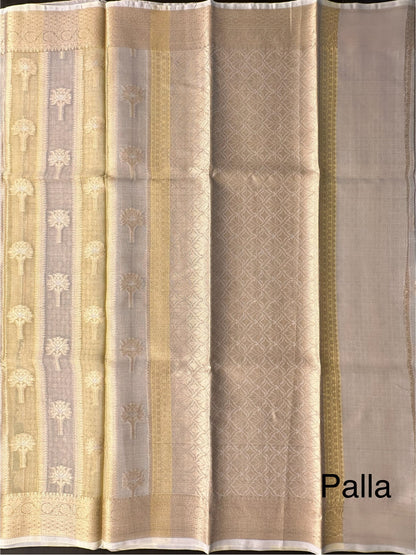 Ishpreet Tissue Saree