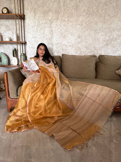 Swarnima Chandrahaas 2.0 Golden-Silver Tissue Saree