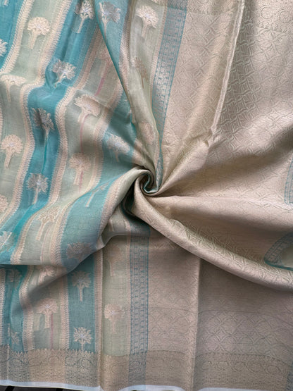 Ishpreet Tissue Saree