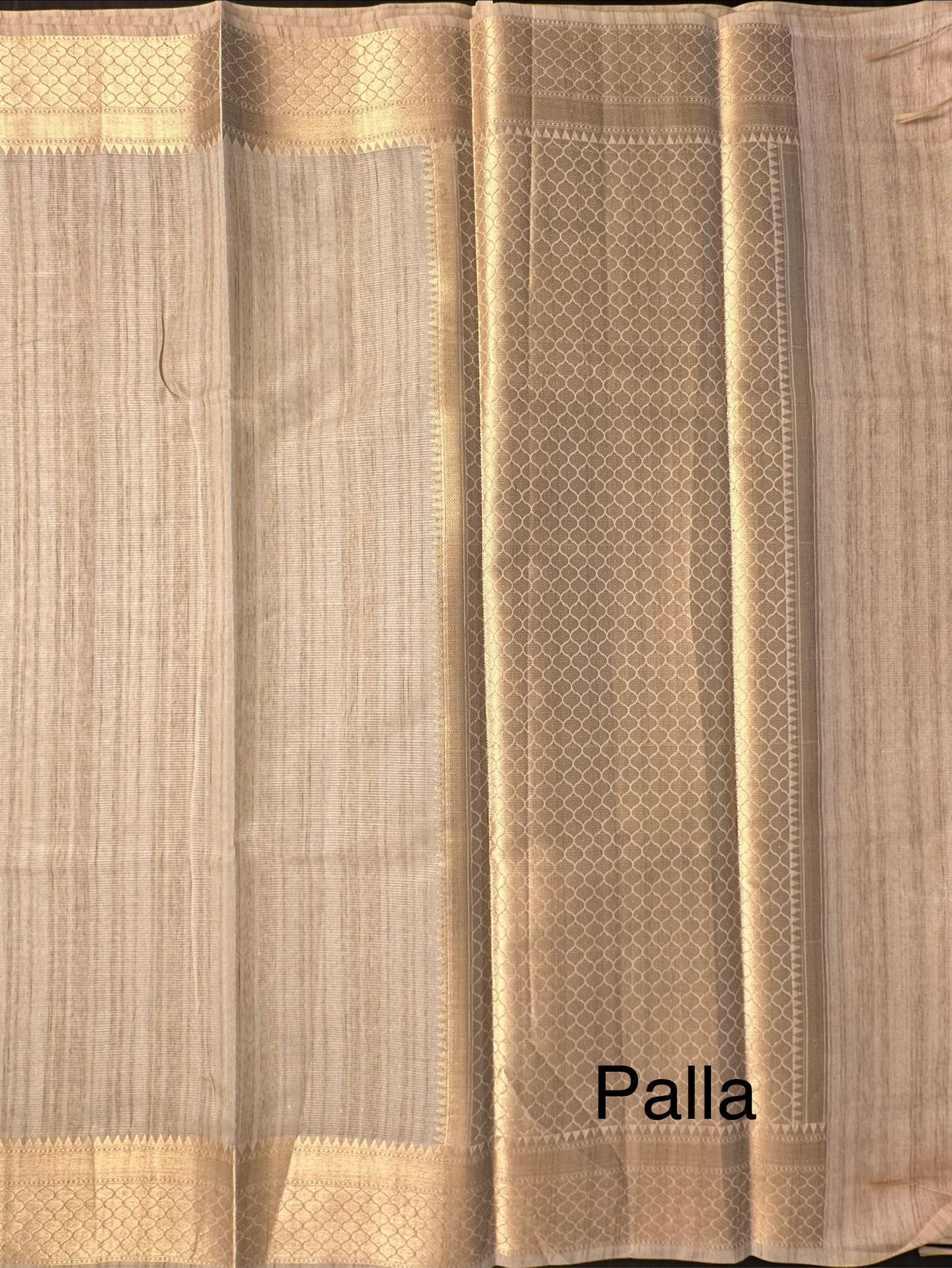 Beige Ananya Tissue Saree