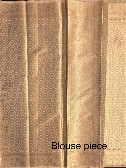 Beige Ananya Tissue Saree