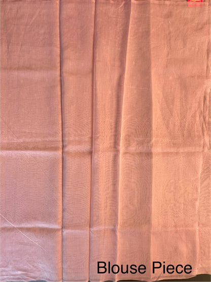 Blended Tissue  Saree
