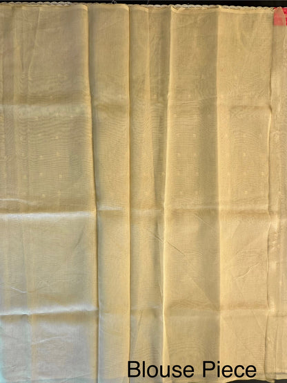 Blended Tissue  Saree