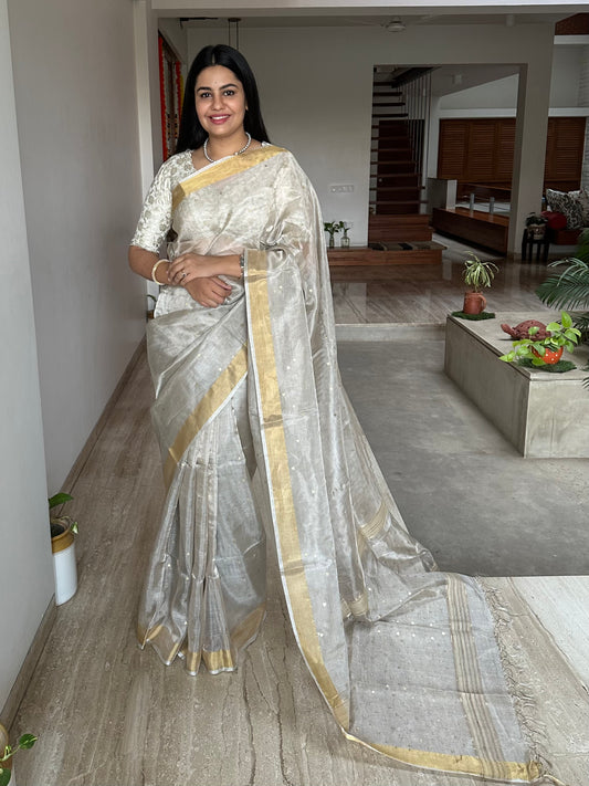 Silver Pure Tissue Silk Saree